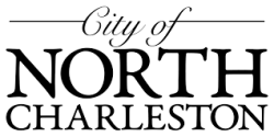 city of n chas logo